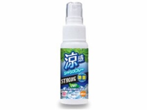 オレンジケア 涼感シャツスプレー ストロング+除菌 ハッカ 50mL 大木