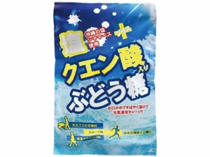 塩クエン酸入り ぶどう糖 2g×20粒入 大丸本舗