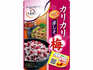 カリカリ梅赤しそ 40G 大森屋