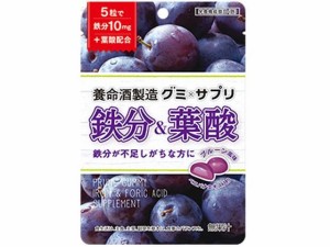 グミ×サプリ 鉄分&葉酸 40g 養命酒製造