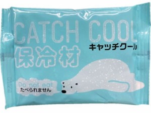 保冷剤 キャッチクール100g トライ・カンパニー 4115074