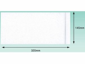 パピルス/デリバリーパック チェーンストア統一伝票サイズ用 145×320 パピルスカンパニー 3905870
