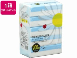 ソフトパックティッシュ てんとう虫 200組 5個×16パック アスト 111807