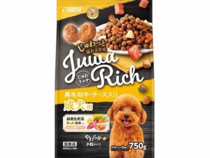 じゅわリッチ 黒毛和牛・チーズ入り 750g マルカン SJR-022