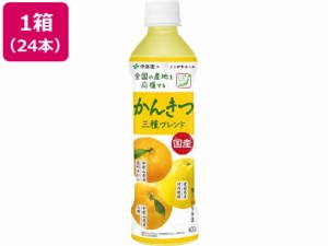 ニッポンエール国産かんきつ三種ブレンド400g×24本 伊藤園