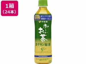 お〜いお茶 カテキン緑茶 500ml×24本 伊藤園