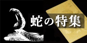 メール便送料無料】シマヘビの抜け皮 蛇の抜け殻 御守り開運グッズ 金運アップ 金運 財布 開運祈願 金運財布 長財布 財運 金運アップの通販はau  PAY マーケット - 風水金運グッズ通販・開運えびす堂 | au PAY マーケット－通販サイト