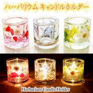 Hd限定ジェルキャンドル 花 最高の花の画像