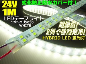 24V/船舶・漁船用/カバー付LEDテープライト蛍光灯・航海灯/1M