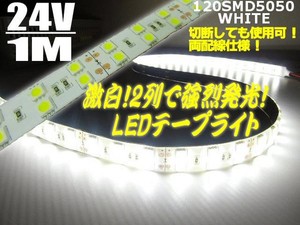 24V/船舶・漁船用/シリカゲル防水LEDテープライト蛍光灯・航海灯/1M