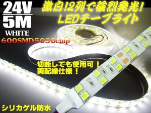 24V/船舶・漁船用/シリカゲル防水LEDテープライト蛍光灯・航海灯/5M