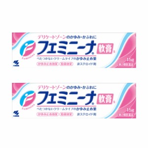 【第2類医薬品】フェミニーナ軟膏S 15g　【2個セット】(4987072009550-2)