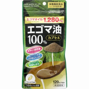 健美舎 エゴマ油100％カプセル 120カプセル入(4905454010376)