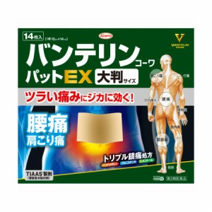 【第二類医薬品】バンテリンコーワパットＥＸ 大判サイズ14枚入 ※セルフメディケーション税制対象商品【メール便】(4987067264704)