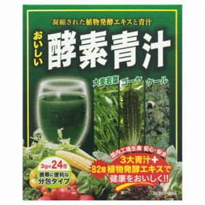おいしい酵素青汁 24包【お取り寄せ】(4560121430118)