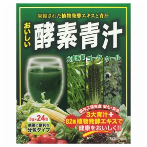 おいしい酵素青汁 24包【2個セット】【お取り寄せ】(4560121430118-2)