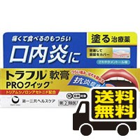 ☆メール便・送料無料☆ トラフル軟膏ＰＲＯクイック 5g セルフメディケーション税制対象 【第(2)類医薬品】 代引き不可