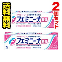 ●2個セット・メール便・送料無料●数量限定！ フェミニーナ軟膏S 30g 【第2類医薬品】 （セルフメディケーション税制対象）