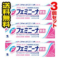 ●3個セット・メール便・送料無料● 数量限定！フェミニーナ軟膏S 30g 【第2類医薬品】 （セルフメディケーション税制対象）