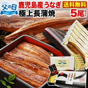 ポイント10％ 父の日 プレゼント ギフト うなぎ 食べ物 グルメ 蒲焼き 国産 鹿児島産 長蒲焼き5本セット 約110g×5 ギフトBOX特典付き 送