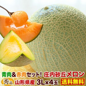 早期予約 お中元 ギフト メロン 山形県産　庄内砂丘メロン 秀品３L玉×4個(5kg以上) 青肉 アンデスメロン グレースメロン アニバーサリー