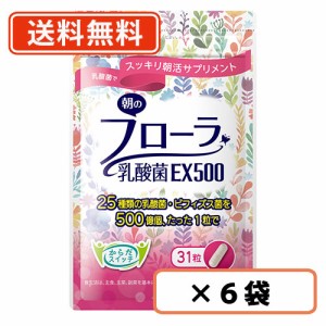 朝のフローラ 乳酸菌EX500 31粒入り×6個セット 【同梱不可】【腸内フローラ】【送料無料/メール便】