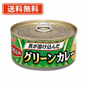 いなば食品 深煮込みグリーンカレー 165g×24缶 【送料無料(一部地域を除く)】