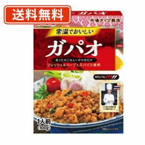  いなば食品 常温でおいしい ガパオ 100ｇ×30個　【送料無料(一部地域を除く)】