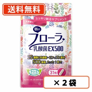 朝のフローラ 乳酸菌EX500 31粒入り×2個セット 【同梱不可】【腸内フローラ】【送料無料/メール便】