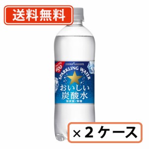 ポッカサッポロ おいしい 炭酸水 600mlPET×48本 (24本×2ケース)　【送料無料(一部地域を除く)】