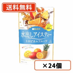 日東紅茶 水出しアイスティー トロピカルフルーツ ティーバッグ(48g×12袋)×24個　【送料無料(一部地域を除く)】