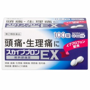 （指定第2類医薬品） スカイブブロンEX 100錠