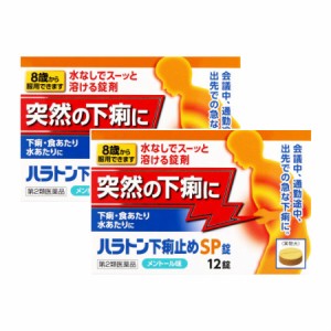 第2類医薬品 ハラトン下痢止めsp錠 12錠 2個セット メール便 2 の通販はau Wowma ワウマ ベストｈｂｉ 商品ロットナンバー