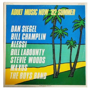 Various ADULT MUSIC NOW ’ SUMMER D.J. COPY (アナログ盤レコード SP LP) 067469【中古】