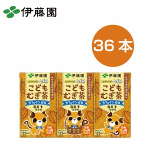 麦茶 紙 販売 パック