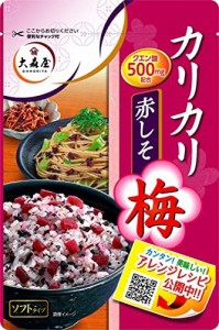 大森屋 カリカリ梅赤しそ 40g×10個