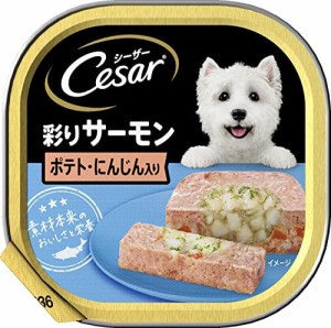 シーザー 成犬用 サーモン風味 ポテトとにんじん入り 100g×24個 (まとめ買い) [ドッグフード・ウェット]