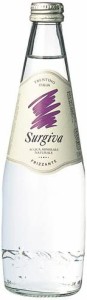 SURGIVA(スルジーヴァ) (発泡) 500ml×20本