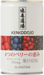 健康道場 4つのベリーの恵み 160g ×30本