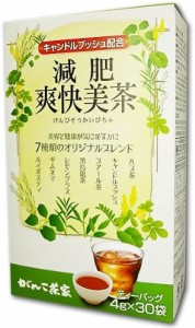 がんこ茶家 [キャンドルブッシュ配合] 減肥爽快美茶30袋