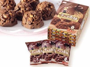 【冬・春限定品】岩手屋 小松製菓　チョコ南部10粒