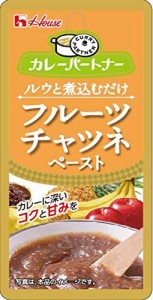 ハウス カレーパートナー フルーツチャツネペースト 40g ×10個