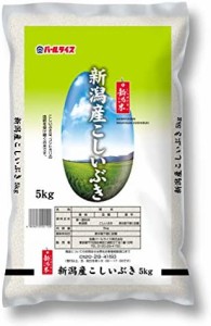 【精米】 新潟県産 白米 こしいぶき 5kg 令和4年産