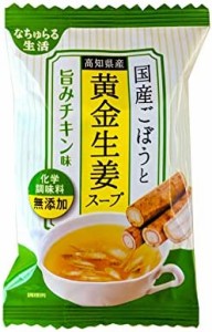 イー・有機生活 国産ごぼうと黄金生姜スープ 9g ×10袋