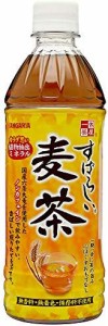 サンガリア すばらしい麦茶500ml×24本