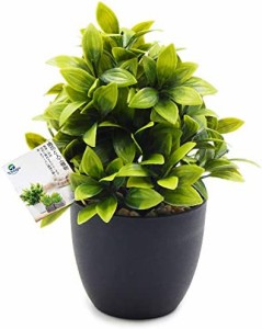 TOSSOW 人工観葉植物 フェイクグリーン 観葉植物 フェイク 造花 ミニ インテリア 世話のいらない 可愛い贈り物 クリスマスツリー