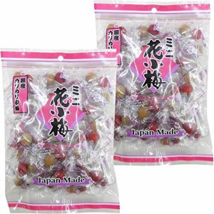 神尾食品 ミニ花小梅180g×2個