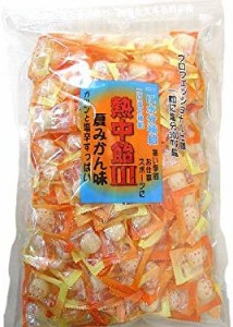 井関食品 熱中飴III 夏みかん味 1kg