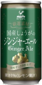 神戸居留地 厳選素材 国産しょうがのジンジャーエール 缶 185ml×20本 [ 国産生姜使用 炭酸飲料 合成甘味料・保存料・着色料 不使用 ]