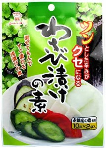 日東食品工業 わさび漬けの素 2P ×10個